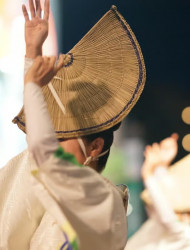 Tokushima: Awa Odori Cultural Experience & Live Performance