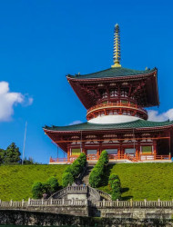 Narita: Shinshoji Temple Highlights Walk & Peace Pagoda