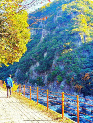 Near Osaka: Secret Abandoned Railway Gorge Hike