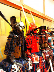 Hyogo: Sasayama Castle & Samurai Residence Guided Tour