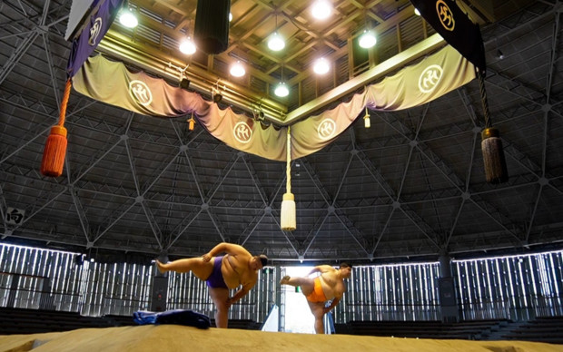 SUMO PROJECT - Sumo Experience Program