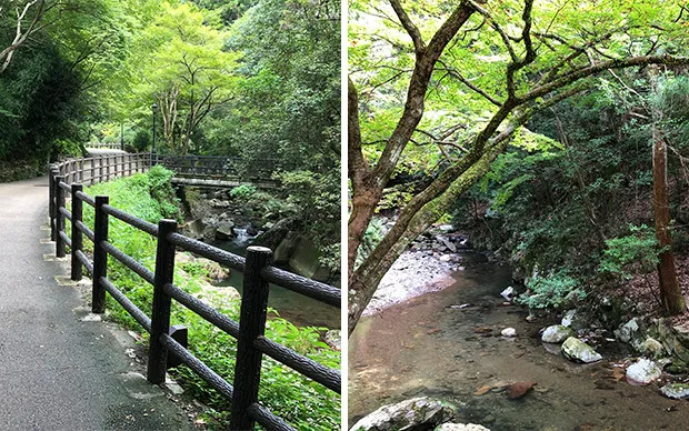 Minoh Waterfall Hiking & Katsuoji Temple Tour