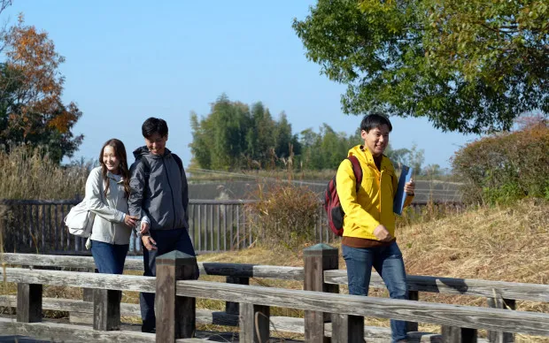 Mt. Kunimi Hiking Tour at Hirakata, with a panoramic view of Kyoto and Osaka