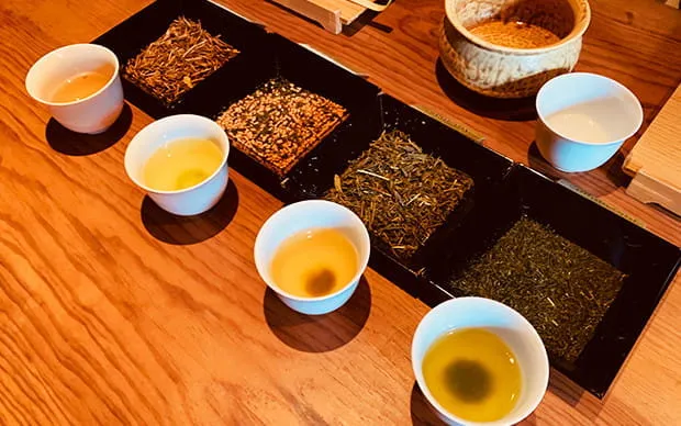 [日本传统] 160年老店裡的茶道体验