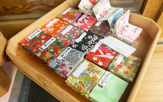 Scenic cycling tour through majestic nature