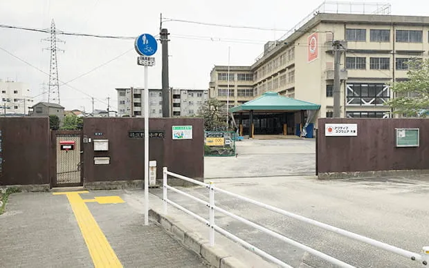 Sumo experience in a real Dohyo arena!