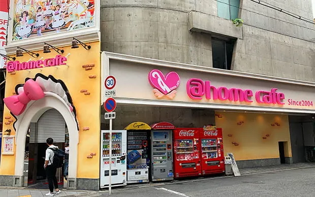 Exclusive! Maid Cafe Experience