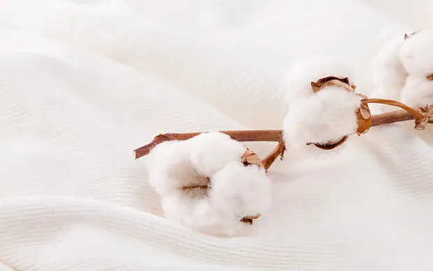 河内木綿文様で作る「バンダナ藍染体験」