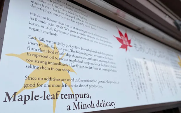 Minoh Waterfall Hiking & Katsuoji Temple Tour