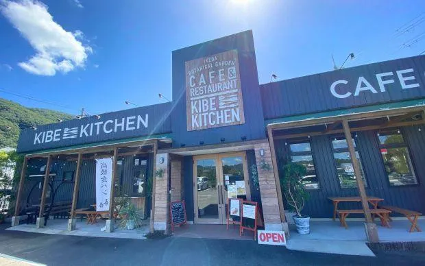 以池田的大自然療癒心靈，盆栽和寺院的體驗之旅