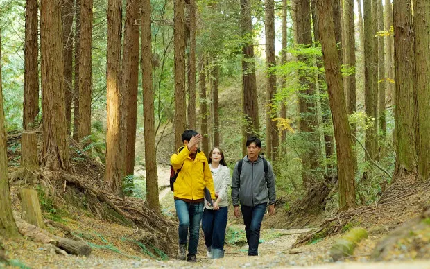 Mt. Kunimi Hiking Tour at Hirakata, with a panoramic view of Kyoto and Osaka