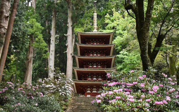 大阪・奈良楽遊パス2日券（南部）