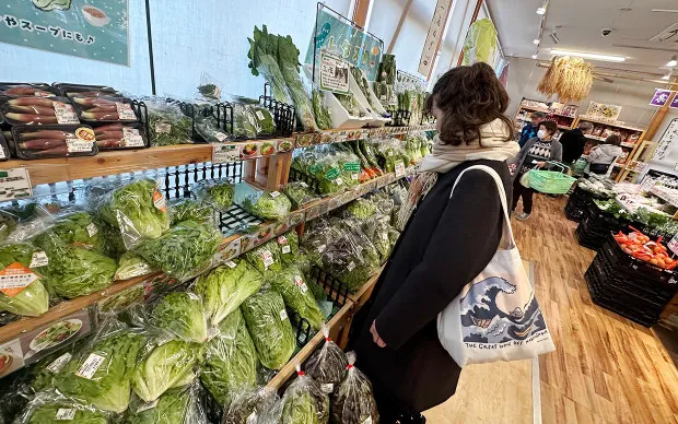 Scenic cycling tour through majestic nature