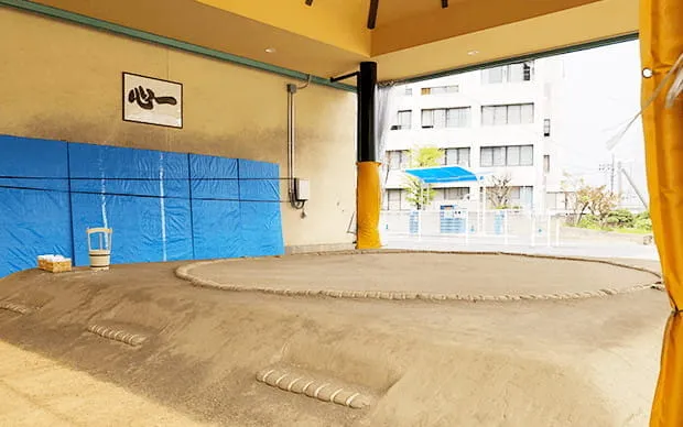 Sumo experience in a real Dohyo arena!