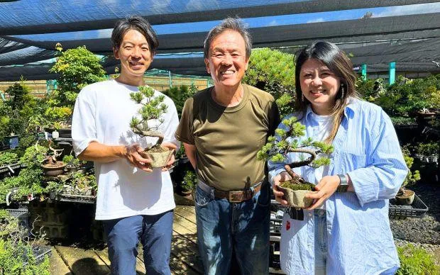以池田的大自然療癒心靈，盆栽和寺院的體驗之旅