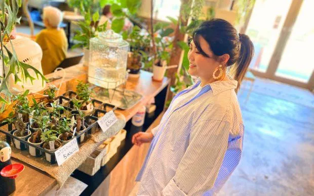 以池田的大自然療癒心靈，盆栽和寺院的體驗之旅