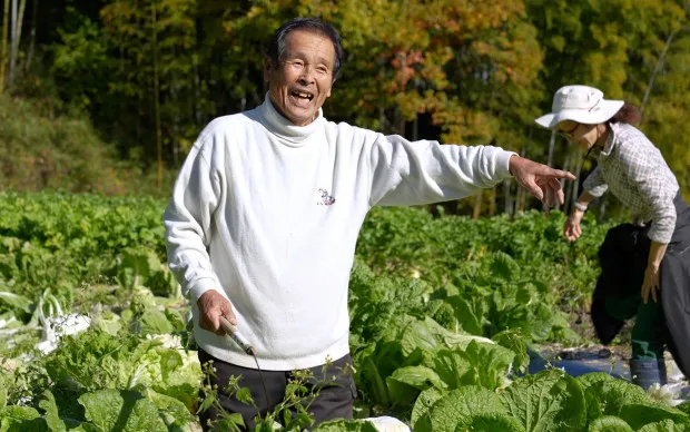 於枚方的山林間！採收時令蔬菜與品嚐當地的蔬菜健康午餐、使用喜歡的香草製作香皂與選擇花材製作原創的花藝瓶