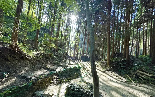 Mt. Kunimi Hiking Tour at Hirakata, with a panoramic view of Kyoto and Osaka