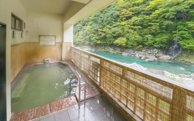 大阪・奈良楽遊パス2日券（南部）