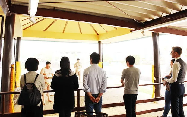 Sumo experience in a real Dohyo arena!