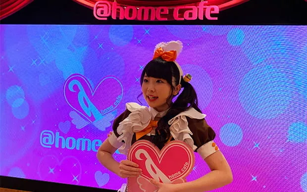 Exclusive! Maid Cafe Experience