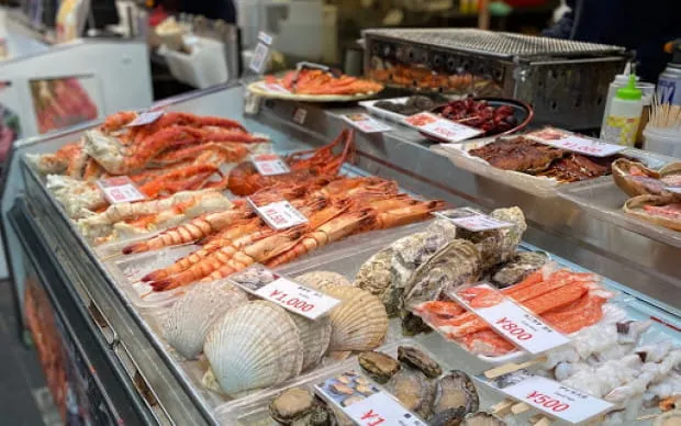 OTAKU Culture Walking Tour in Namba