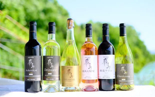 Asuka wine and flavors of Habikino tour