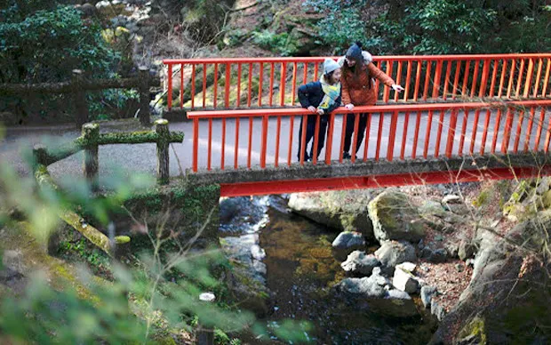 Minoh Waterfall Hiking & Katsuoji Temple Tour