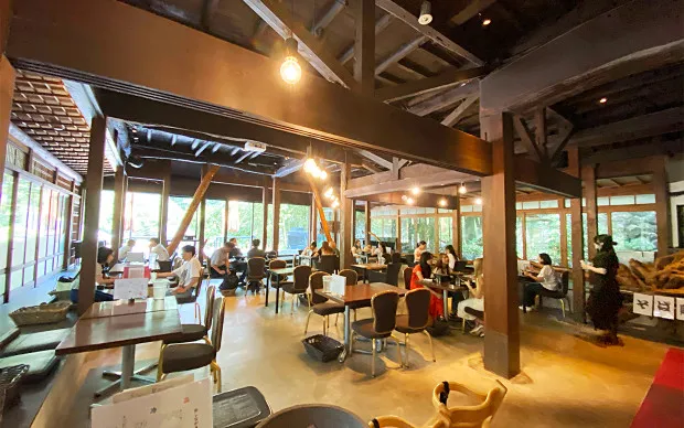 箕面的绝景和让身心灵平静的瑜伽体验旅游