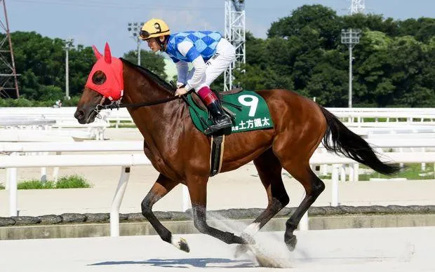 尼崎怀旧之旅～沉醉于昭和复古白日饮酒×赛马体验！～