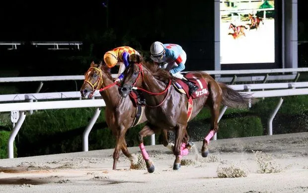 尼崎怀旧之旅～沉醉于昭和复古白日饮酒×赛马体验！～