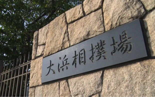 SUMO PROJECT - Sumo Experience Program