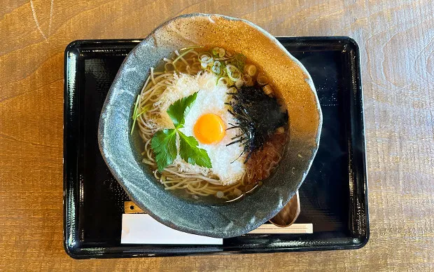 箕面的绝景和让身心灵平静的瑜伽体验旅游