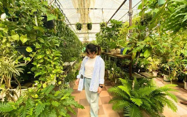 以池田的大自然療癒心靈，盆栽和寺院的體驗之旅