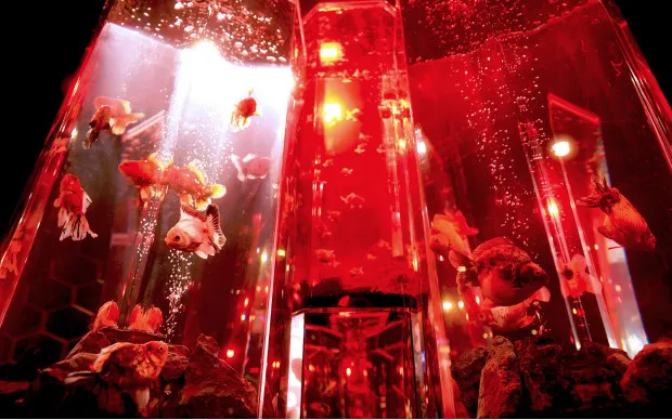 大阪・奈良楽遊パス2日券（北部）