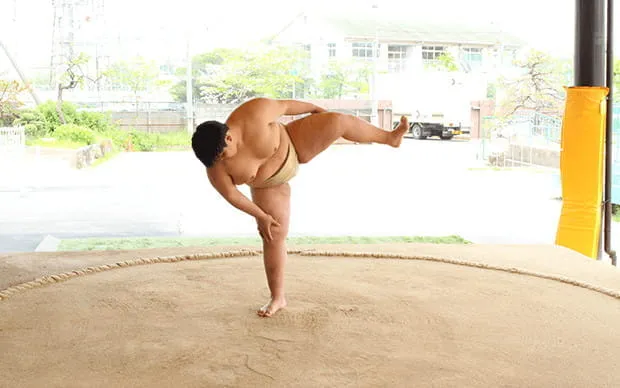 Sumo experience in a real Dohyo arena!