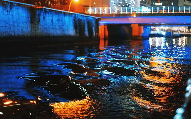 Private VIP Cruise of Nakanoshima