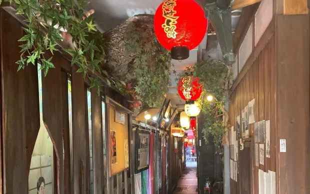 OTAKU Culture Walking Tour in Namba