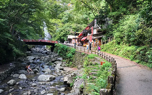 Minoh Waterfall Hiking & Katsuoji Temple Tour