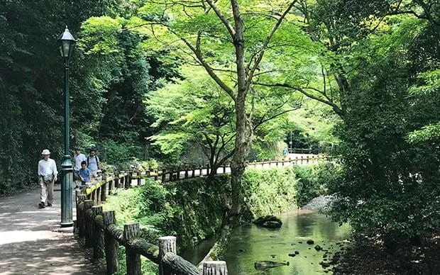 [大阪四季自然风景] 箕面登山之旅