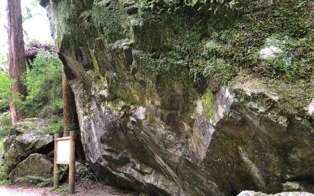 Minoh Waterfall Hiking & Katsuoji Temple Tour