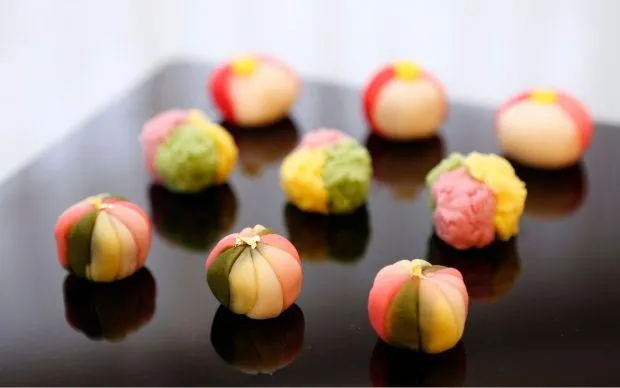 Private Washoku Cooking Class 