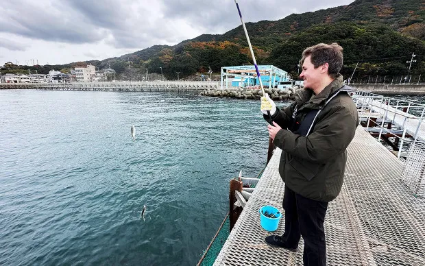 Scenic cycling tour through majestic nature