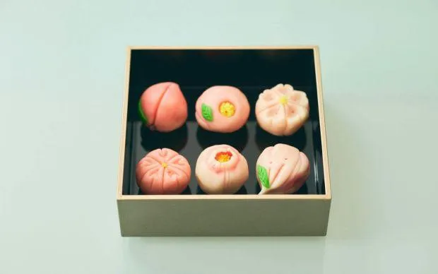 Private Washoku Cooking Class 