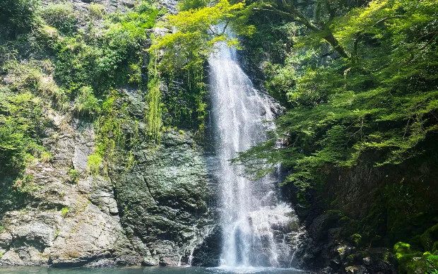 箕面的绝景和让身心灵平静的瑜伽体验旅游