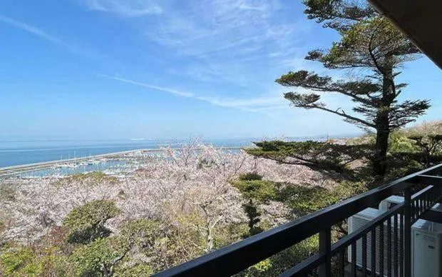 A stone’s throw from Kansai Airport: Seaside cycling and marine activity tour in Misakicho