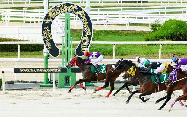 尼崎怀旧之旅～沉醉于昭和复古白日饮酒×赛马体验！～