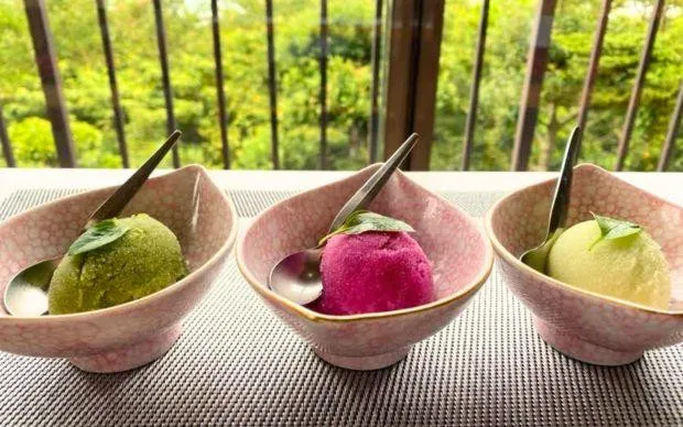 A stone’s throw from Kansai Airport: Seaside cycling and marine activity tour in Misakicho