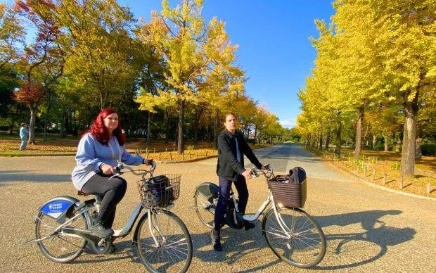 Tea ceremony and Zen tour: In the footsteps of Sen no Rikyu