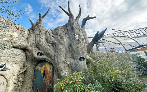 Mt. Kunimi Hiking Tour at Hirakata, with a panoramic view of Kyoto and Osaka